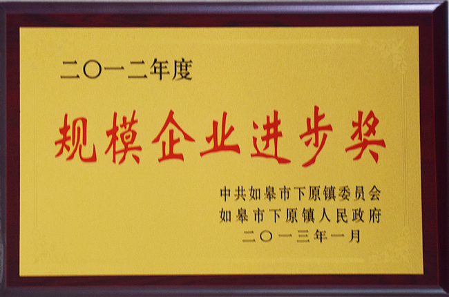 規(guī)模企業(yè)進步獎