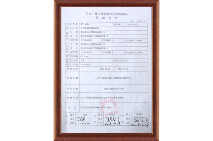 檢測報告